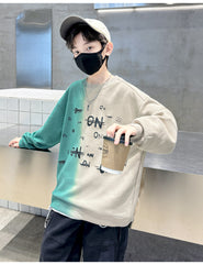 WZH301124-8 هودي ولادي قطن اصلي ربيعي خريفي دافية